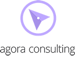 Agora Consulting : Consultant business